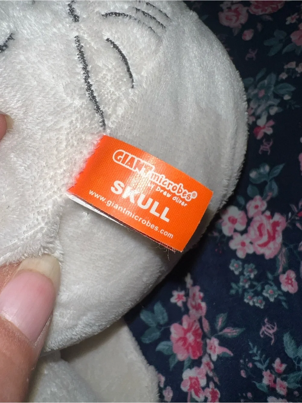 Giant microbes skull by drew oliver